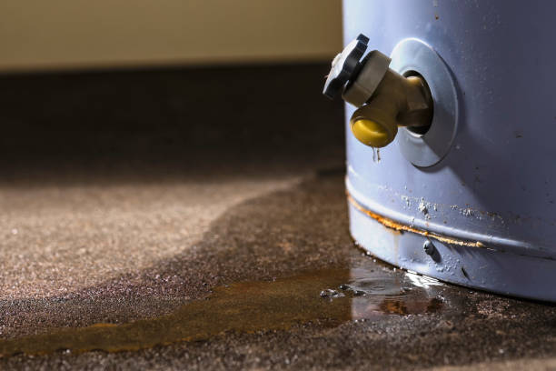 Best Water damage contractors near me  in Judsonia, AR