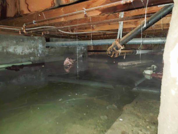 Best Flooded house restoration  in Judsonia, AR