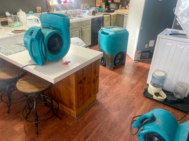 Best Ceiling water damage repair  in Judsonia, AR