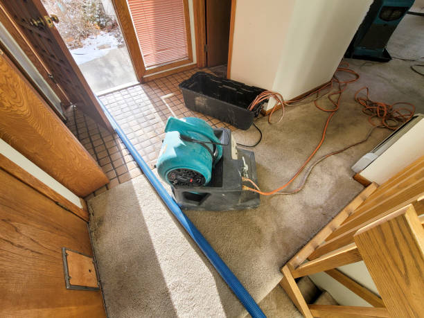 Professional Water damage restoration in AR