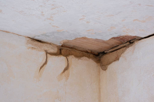 Best Flood damage cleanup  in Judsonia, AR