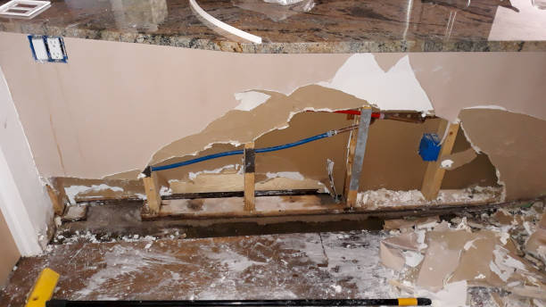 Best Fire Damage Restoration  in Judsonia, AR