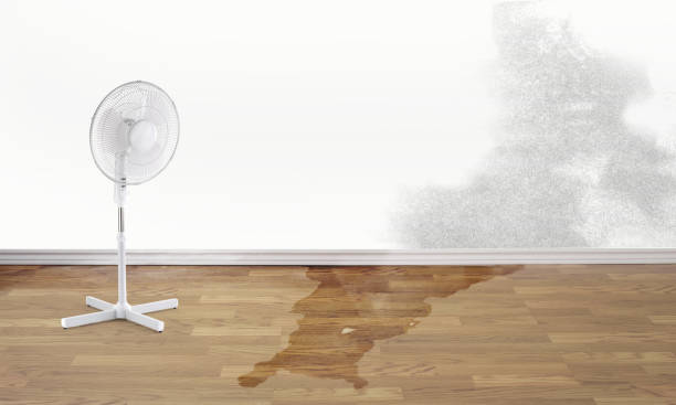  Judsonia, AR Water damage restoration Pros