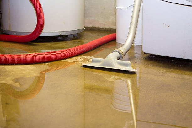Best Sewage cleanup and water damage restoration  in Judsonia, AR