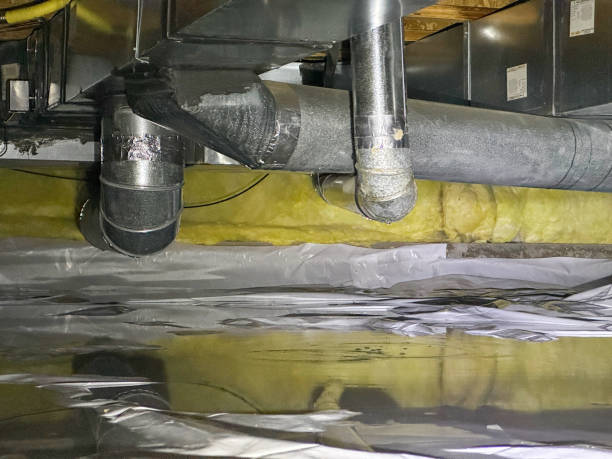 Best Basement water damage restoration  in Judsonia, AR