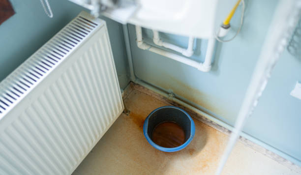Best Professional water damage repair  in Judsonia, AR