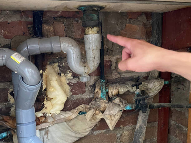 Best Water damage cleanup near me  in Judsonia, AR