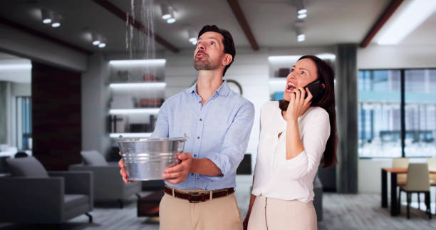 Best 24-hour water damage restoration  in Judsonia, AR