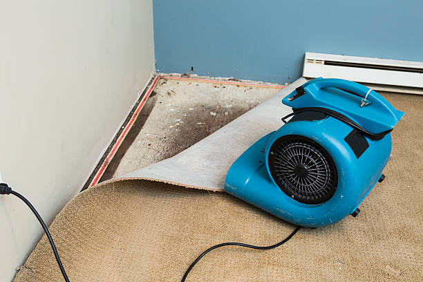 Best Professional water damage repair  in Judsonia, AR